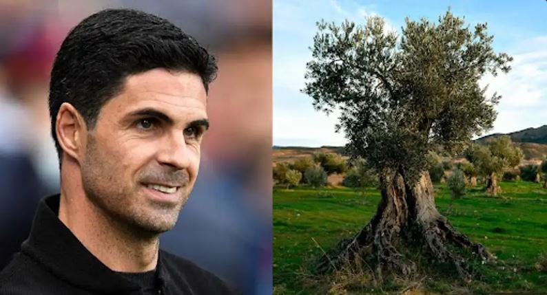 ARTETA