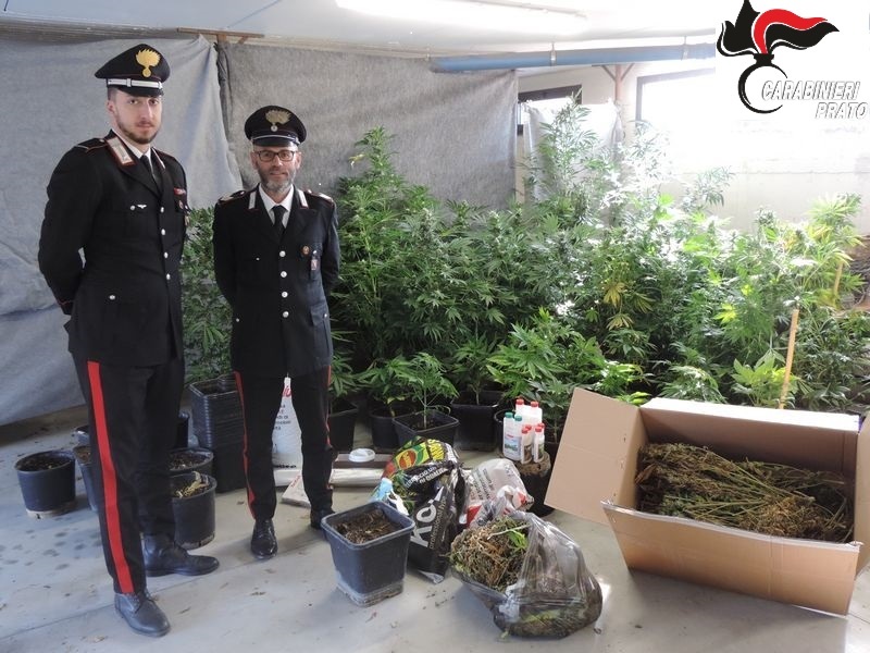 carabinieri_vernio_marijuana_arresto_2020_02_05_2