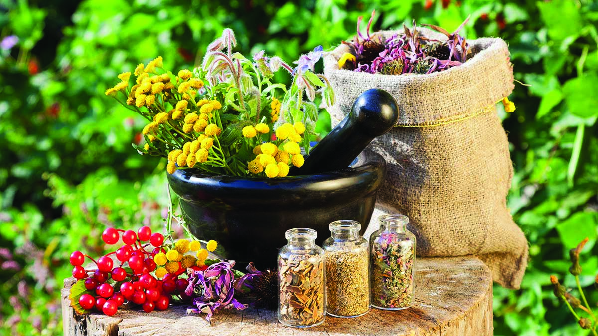 healing herbs in mortar and in sack herbal medicine