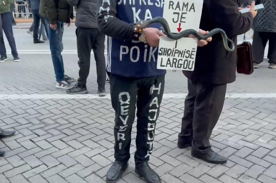 qeveri hajdute tirane protesta opozita