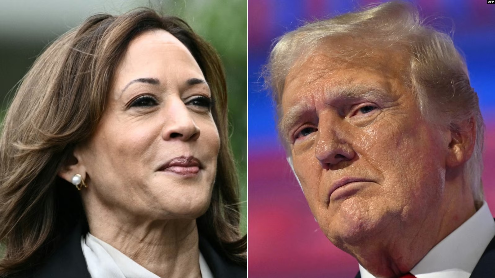 donald trump kamala harris