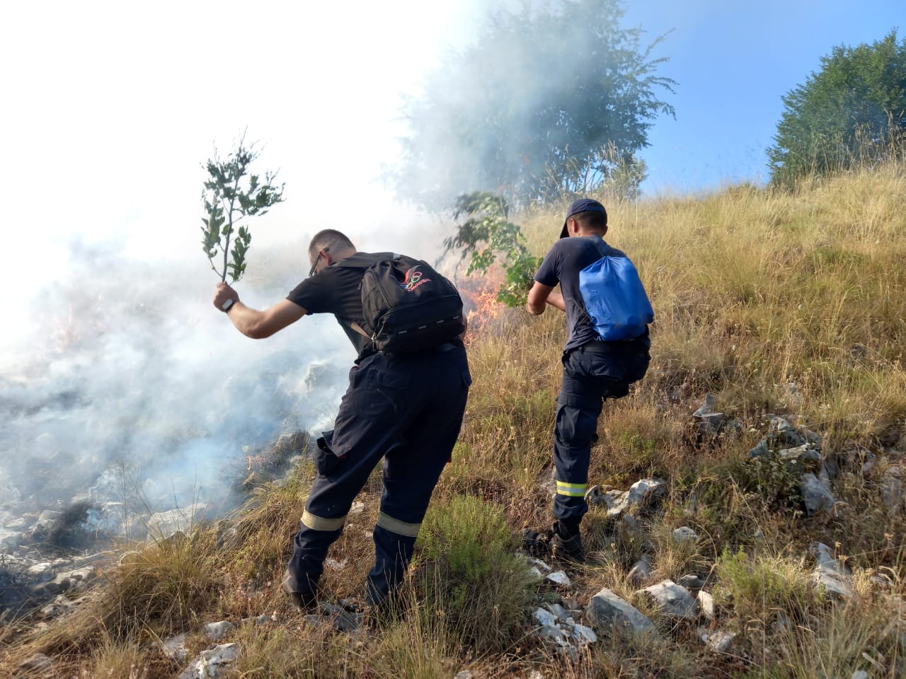 zjarrfikes mali i gjere gjirokaster (1)