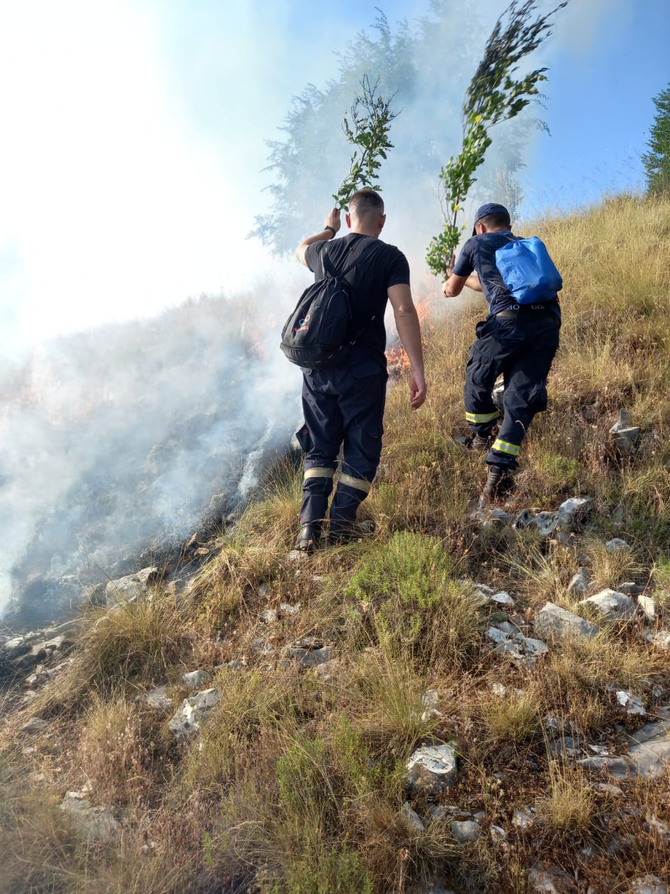 zjarrfikes mali i gjere gjirokaster (2)