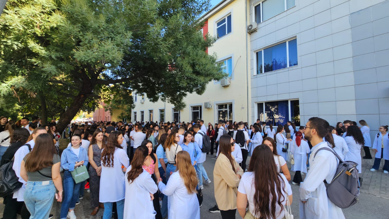 studente mjekesie protesta