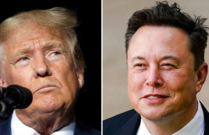 trump musk