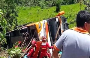 Autobusi del nga rruga dhe bie në greminë