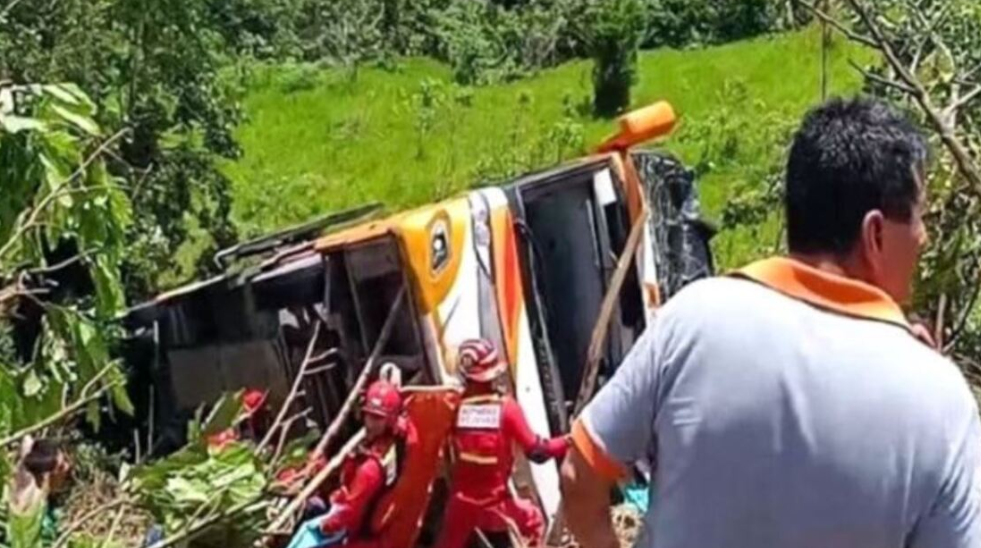 Autobusi del nga rruga dhe bie në greminë