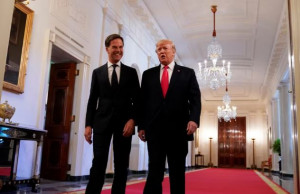 rutte trump